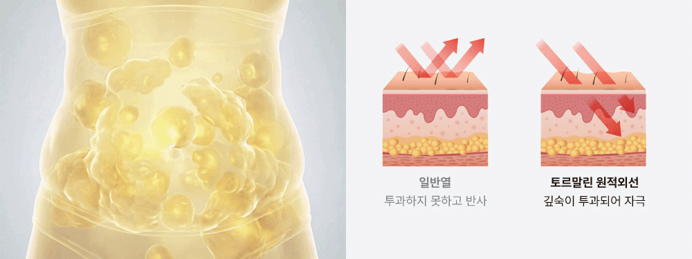 Fat Lab Bromelain Microcirculation Patch x8