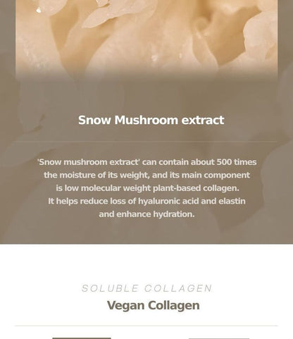 Kaine Vegan Collagen youth cream