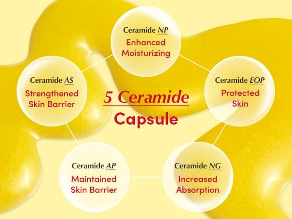 Eqqualberry- Vitamin Illuminating Serum